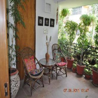Lush Green Stay In South Delhi, New Delhi 3